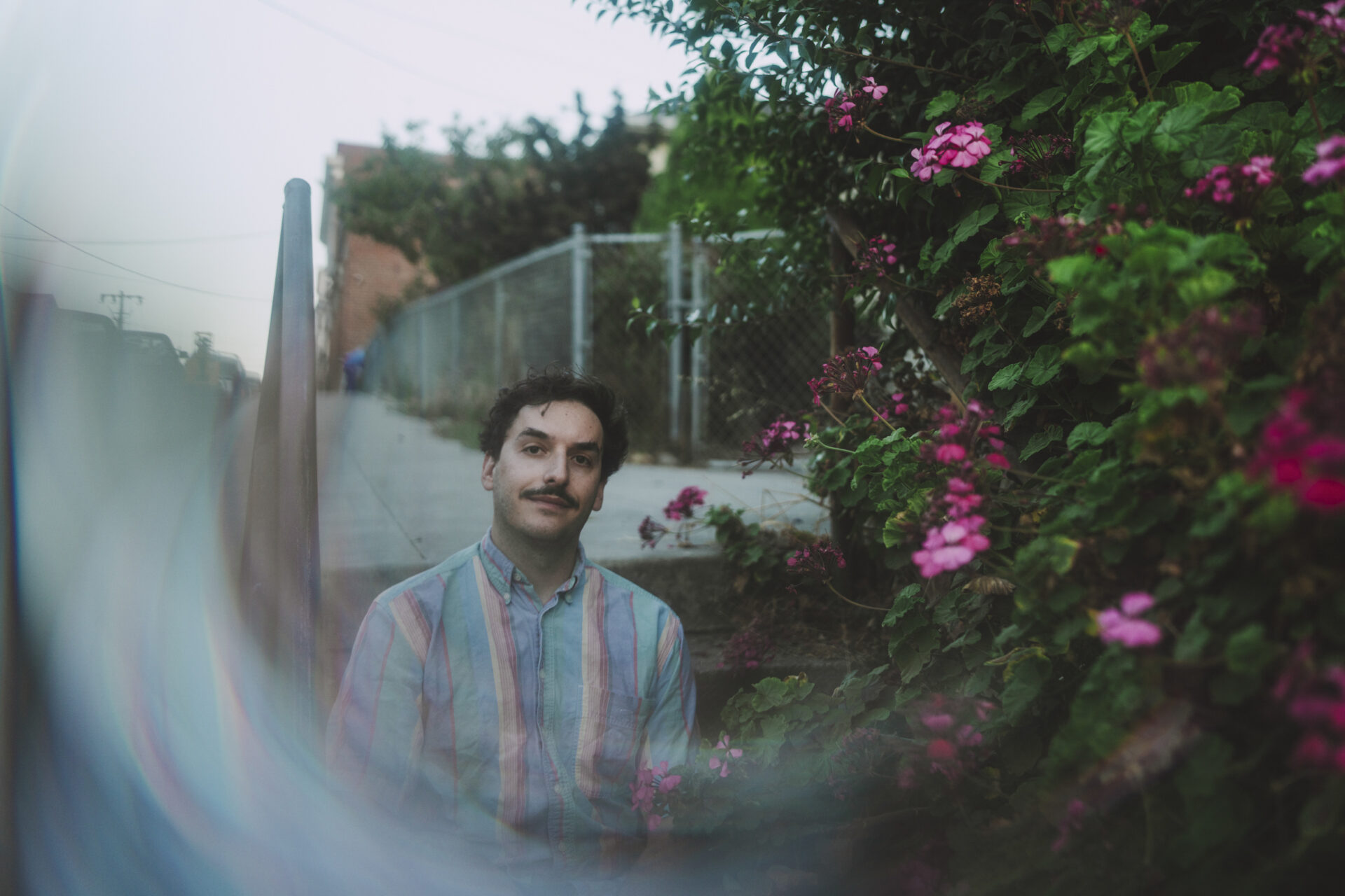 DI LEO. Photo by Nika Alias States